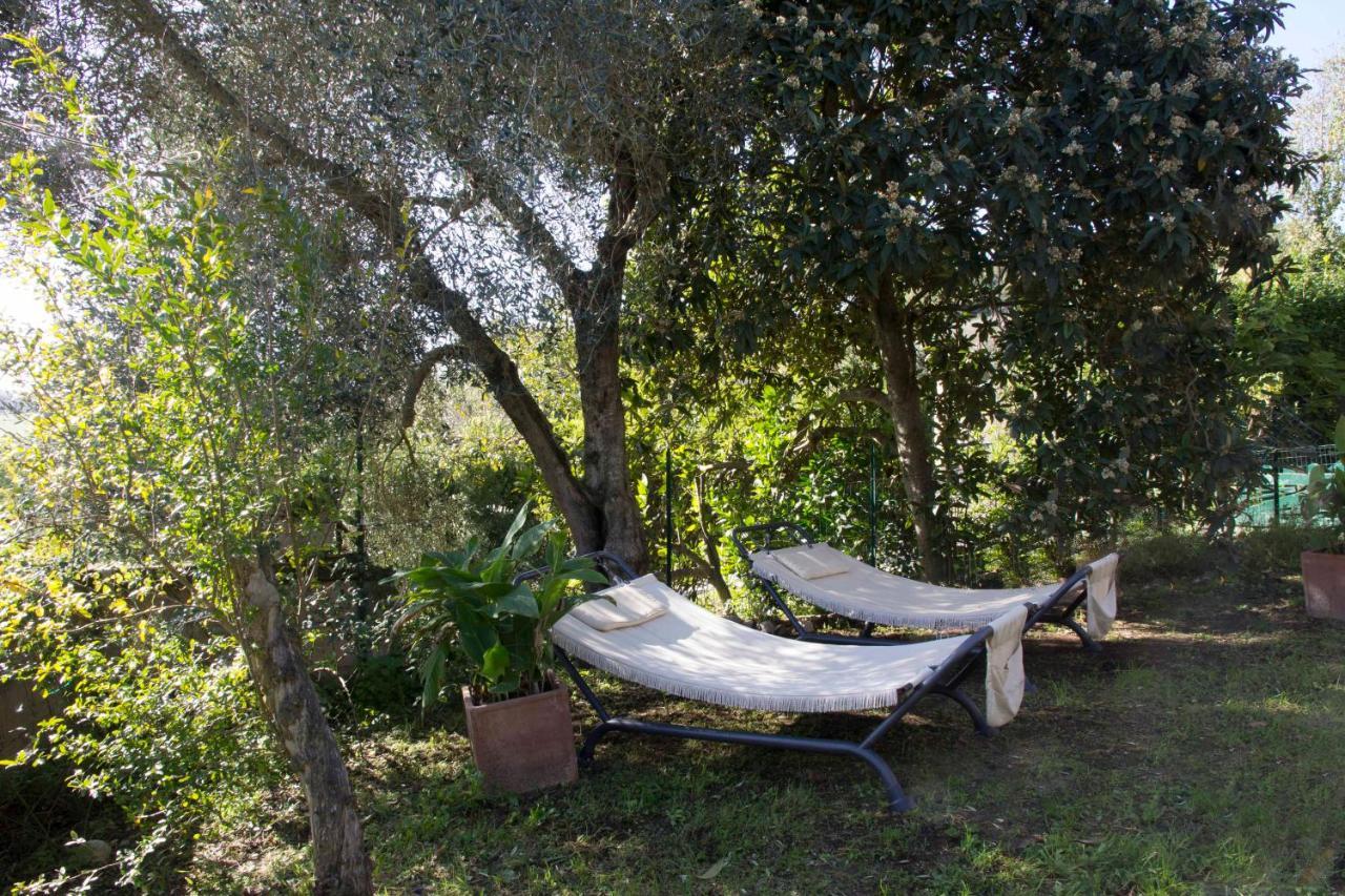 Casale San Pietro Bed & Breakfast Otricoli Dış mekan fotoğraf