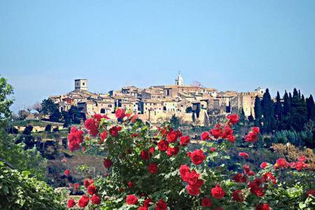 Casale San Pietro Bed & Breakfast Otricoli Dış mekan fotoğraf